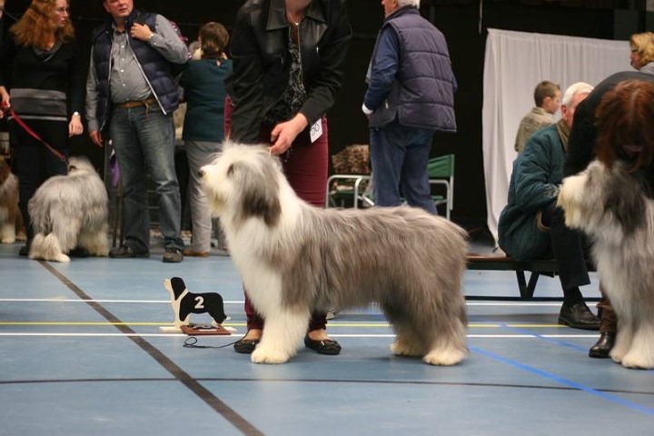 NBCC 2013 Small