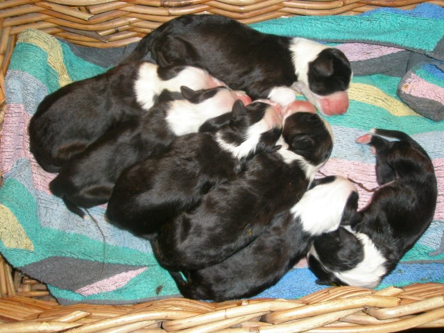 day 1-1 Small