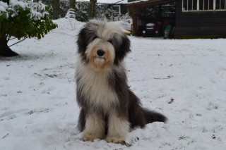 januari 2013